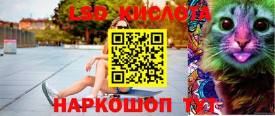 гидропоника Кингисепп