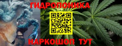 крисы Кимры