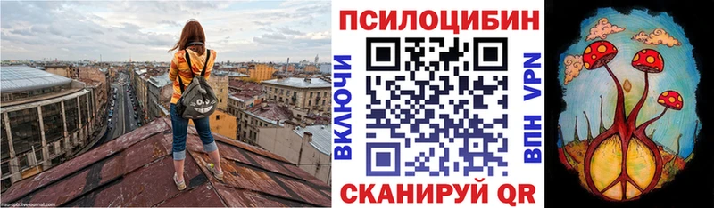 Псилоцибиновые грибы Magic Shrooms  omg ТОР  Усть-Илимск 